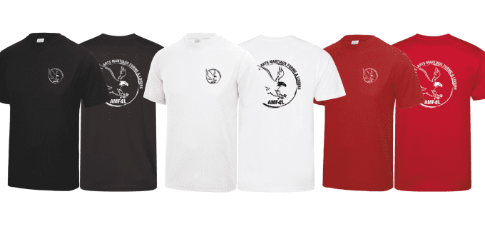 ARTS MARTIAUX / Tshirt technique Adulte